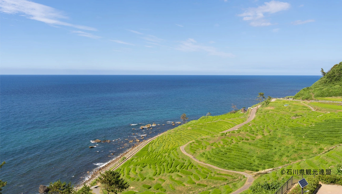 主要视觉形象|能登美居温泉度假酒店
